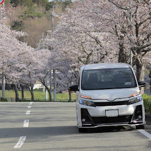 ヴォクシー ZRR80W