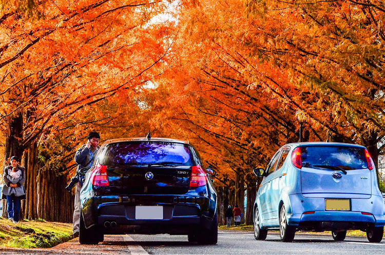 1シリーズ ハッチバックのbmw・ドライブ・メタセコイア並木・若気の至りで許して🥺・地べた撮りに関するカスタム事例の投稿画像5枚目