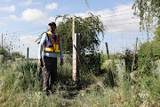Members of the Walkerfruit farm CPF Gresham Mandy stands next to the cut fence where a tiger escaped in Walkerville.