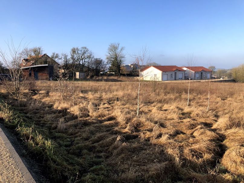 Vente terrain  3000 m² à Behonne (55000), 137 000 €