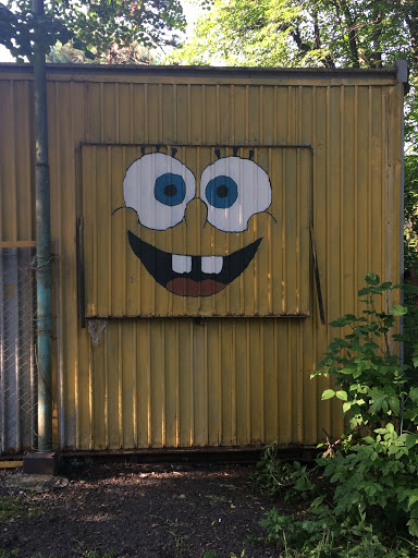 Sponge Bob