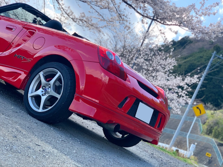 MR-Sの桜とコラボ・サクラと愛車・桜・MR-S・ZZW30に関するカスタム事例の投稿画像1枚目