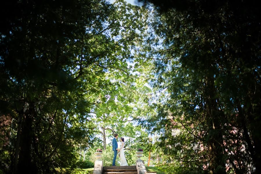 Wedding photographer Tigran Agadzhanyan (atigran). Photo of 25 June 2015