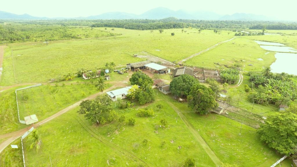 Fazenda