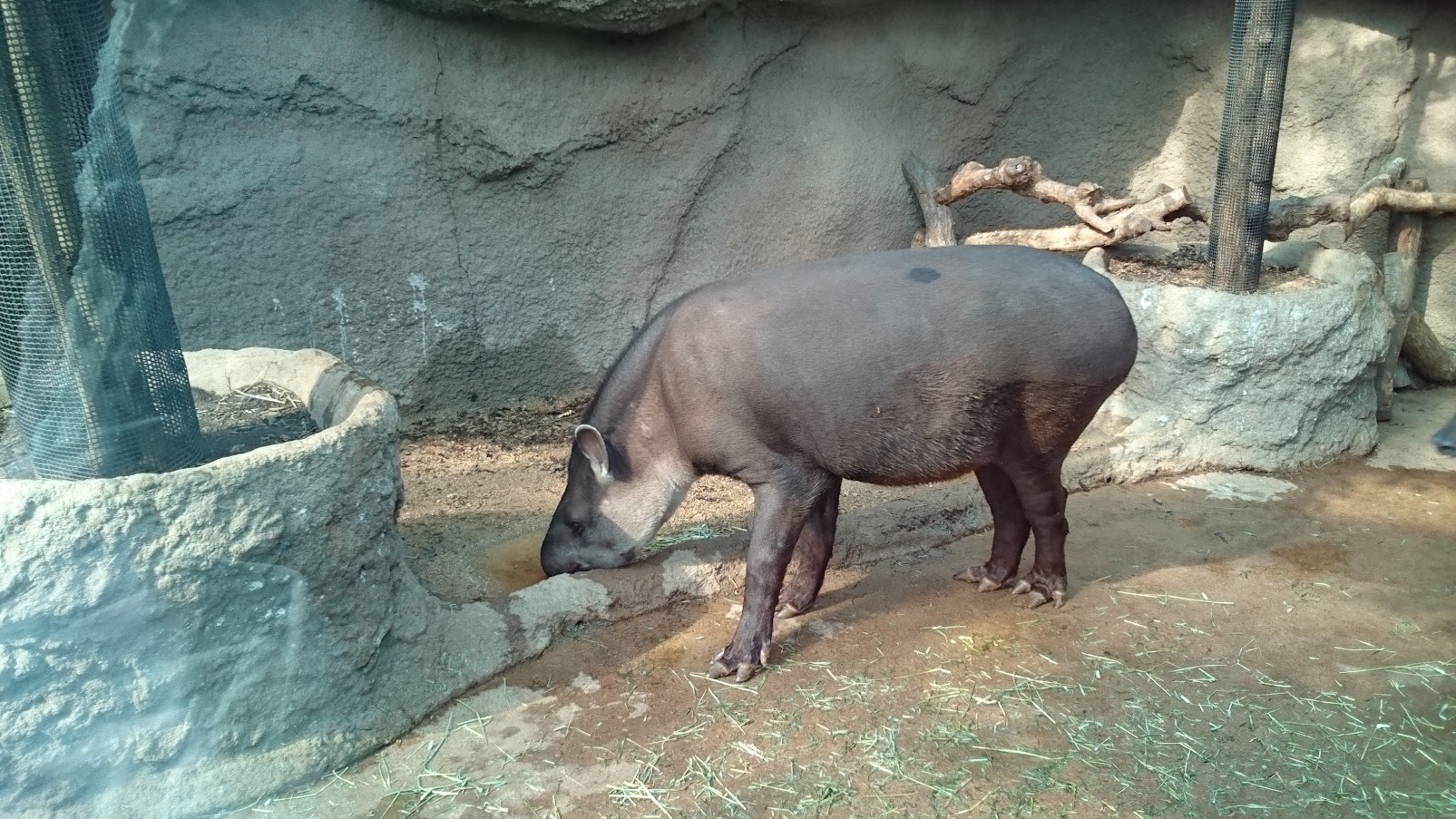 神戶動物王國