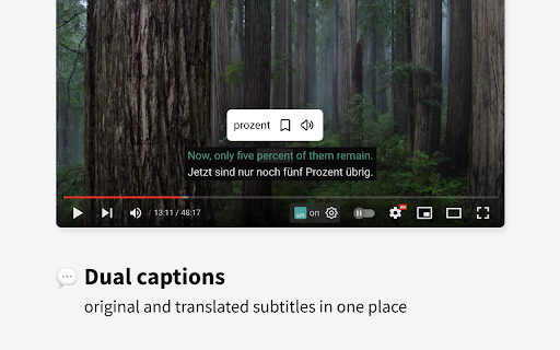 Dual captions original translated subtitles place 