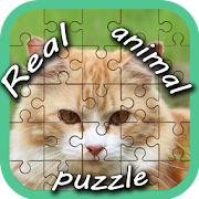 Real Animal Puzzle Pieces  Icon