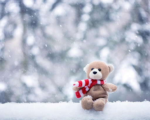 Teddy Bear Live Wallpaper