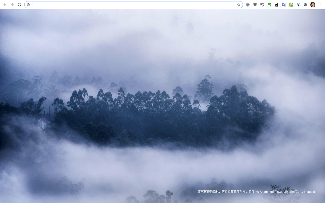 Bing Image New Tab Preview image 0