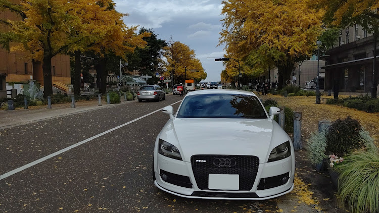 TT クーペの2022ベストショット・11月にエントリーします・山下公園 銀杏並木・マリンタワー・あぶない刑事に関するカスタム事例の投稿画像13枚目