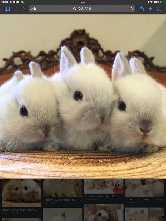 「ウサギにはウサギのウサギご飯(1)」のメインビジュアル