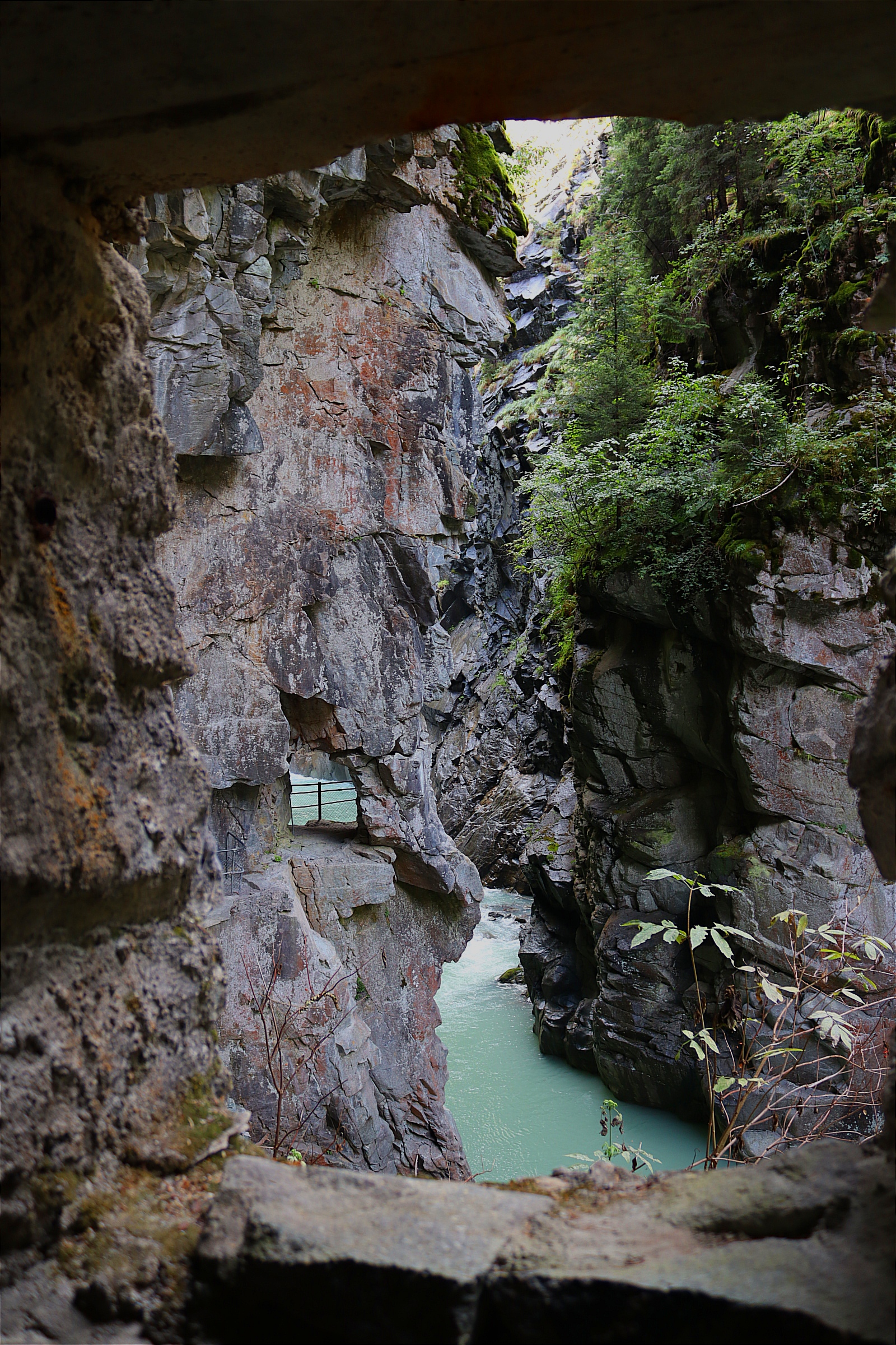 Naturalmente Svizzera di Dani68