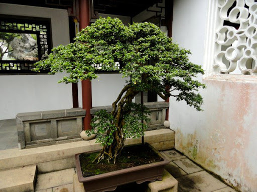 The Chinese Japanese Gardens Singapore2010