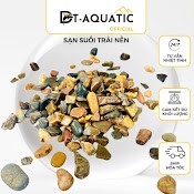 Sạn Suối Thuỷ Sinh (500G - 1Kg) Trải Nền Trang Trí Bể Cá Thuỷ Sinh, Bán Cạn