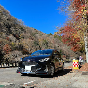 ヤリス MXPA10