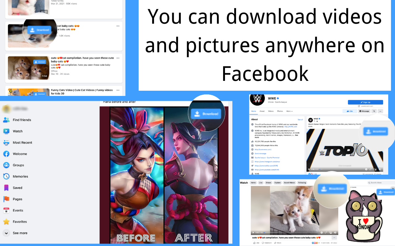 Facebook Video Downloader Plus Preview image 4