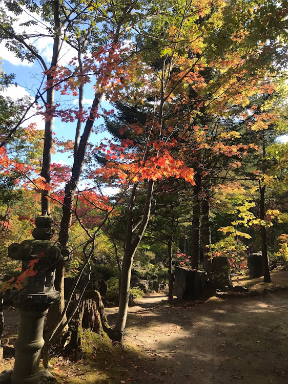 の投稿画像5枚目