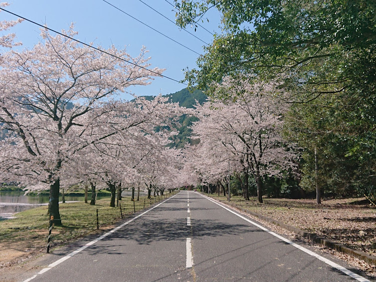 の投稿画像3枚目