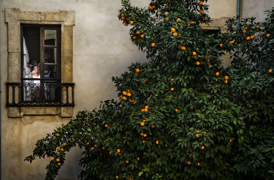 Svatební fotograf Fraco Alvarez (fracoalvarez). Fotografie z 10.ledna 2019