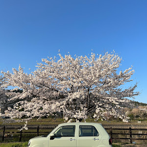 ミラ トコット LA550S