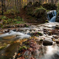 Autunno in Val d'Arzino di 