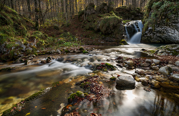 Autunno in Val d'Arzino di Nevio Saule