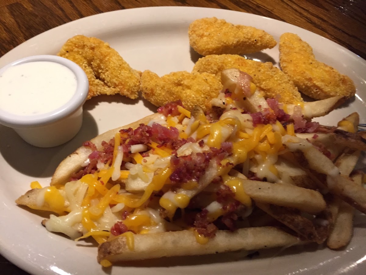 Chicken tenders and cheese fries