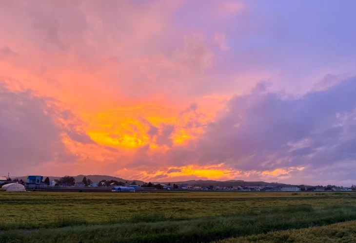 「君のクチグセ」のメインビジュアル