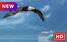 Bald Eagle New Tab HD Top Wallpapers Theme small promo image