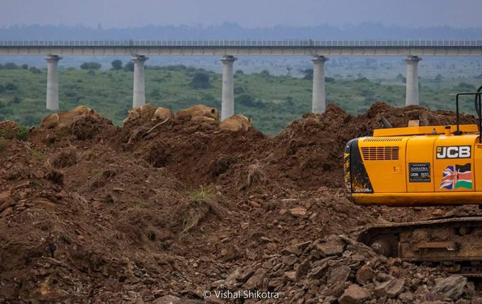 A photo alleging an expressway being constructed in the Nairobi National Park