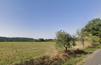 terrain à Arpajon-sur-Cère (15)