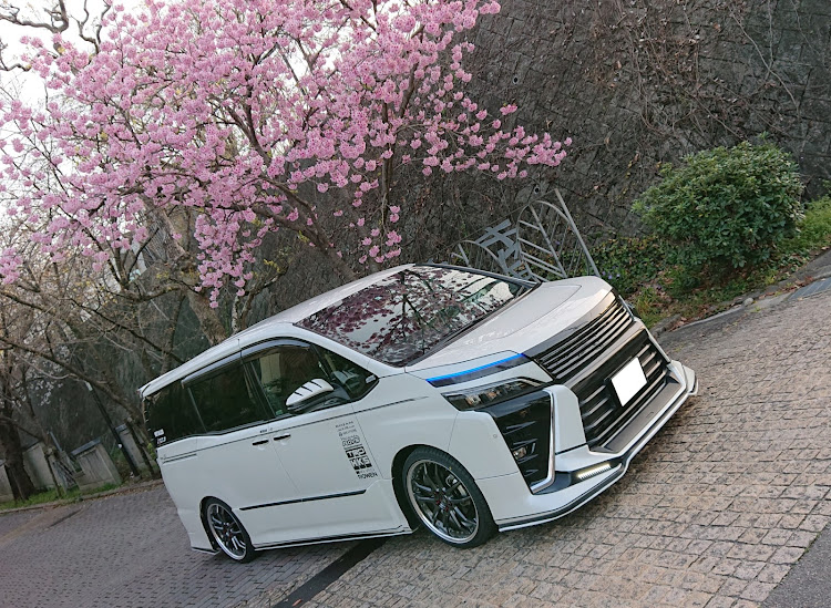 ヴォクシーのVOXY・シルクブレイズ・TRD・VERZ・桜に関するカスタム事例の投稿画像1枚目