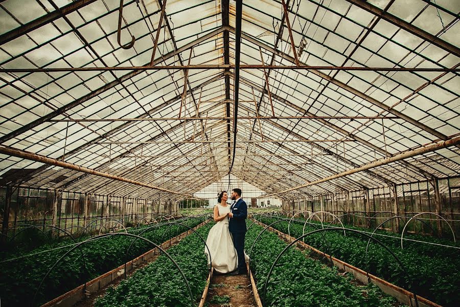 Wedding photographer Robert Czupryn (robertczupryn). Photo of 15 September 2017