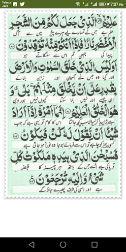 Surah Yaseen With Urdu Translation