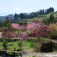 山上人家森林農場