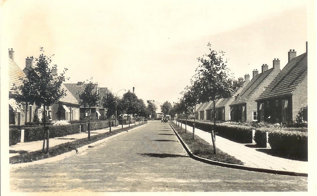 Afbeelding zonder bijschrift