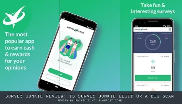 Survey Junkie Review 2024: Is Survey Junkie Legit & Worth It?