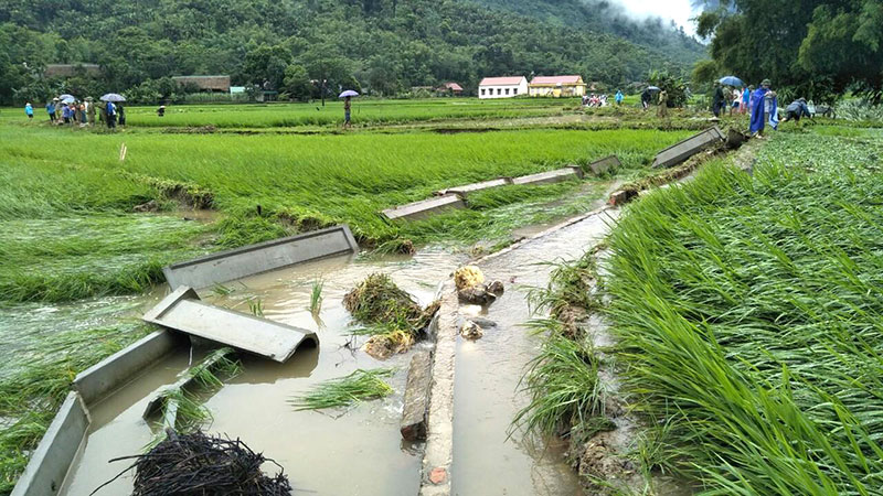 Đê vỡ do bão lũ khiến nước tràn vào ruộng hoa màu