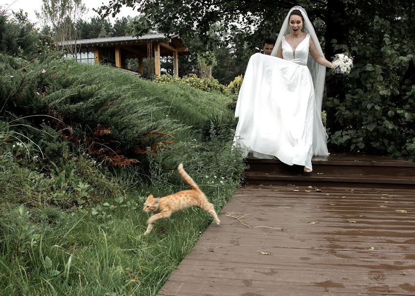 Wedding photographer Vitaliy Ushakov (ushakovitalii). Photo of 31 October 2019