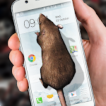 Cover Image of Download Mouse on Screen Scary Joke 3.1 APK