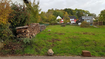 terrain à Schirmeck (67)