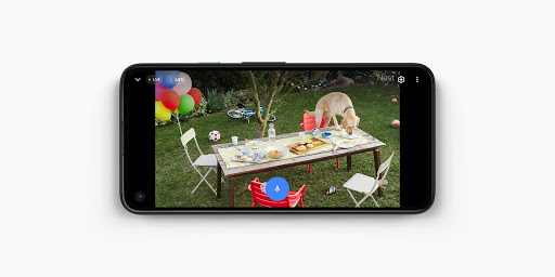 Pixel 4a phone display showing a live view of a dog on outdoor table eating food  in the garden area.