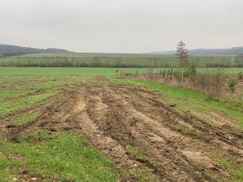 terrain à Hombourg-Budange (57)