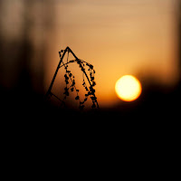 Ci dispiace, la tua ricerca è tramontata. di 