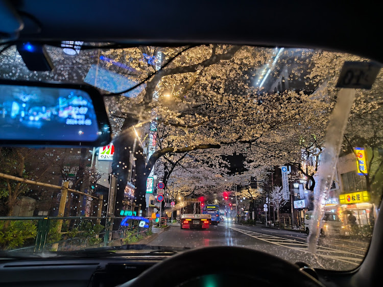 セラのサクラと愛車・夜桜と愛車・中野通り・新青梅街道・桜とコラボに関するカスタム事例の投稿画像6枚目