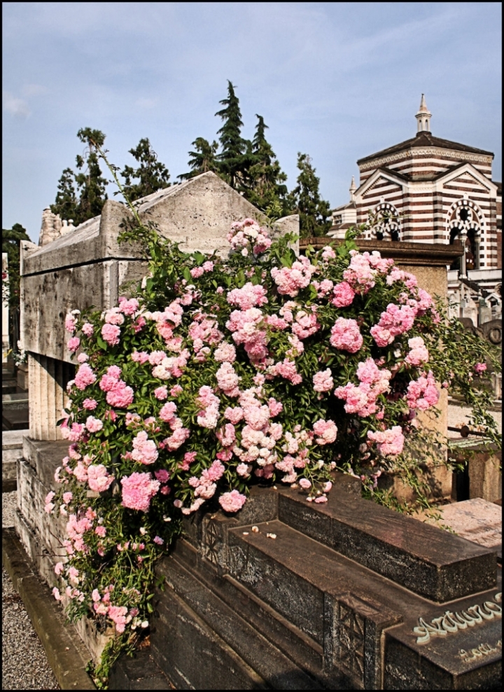 Fiori per l'eterno riposo di kaira