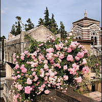 Fiori per l'eterno riposo di 