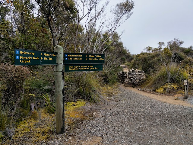 Rangihau Pinnacles Walk Junction