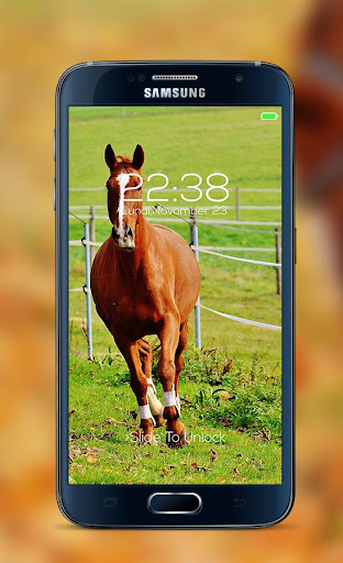 Horse password Lock Screen