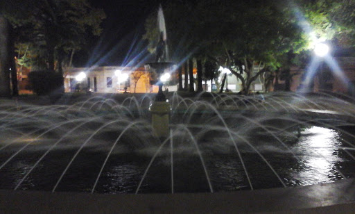 Fuente de plaza flores